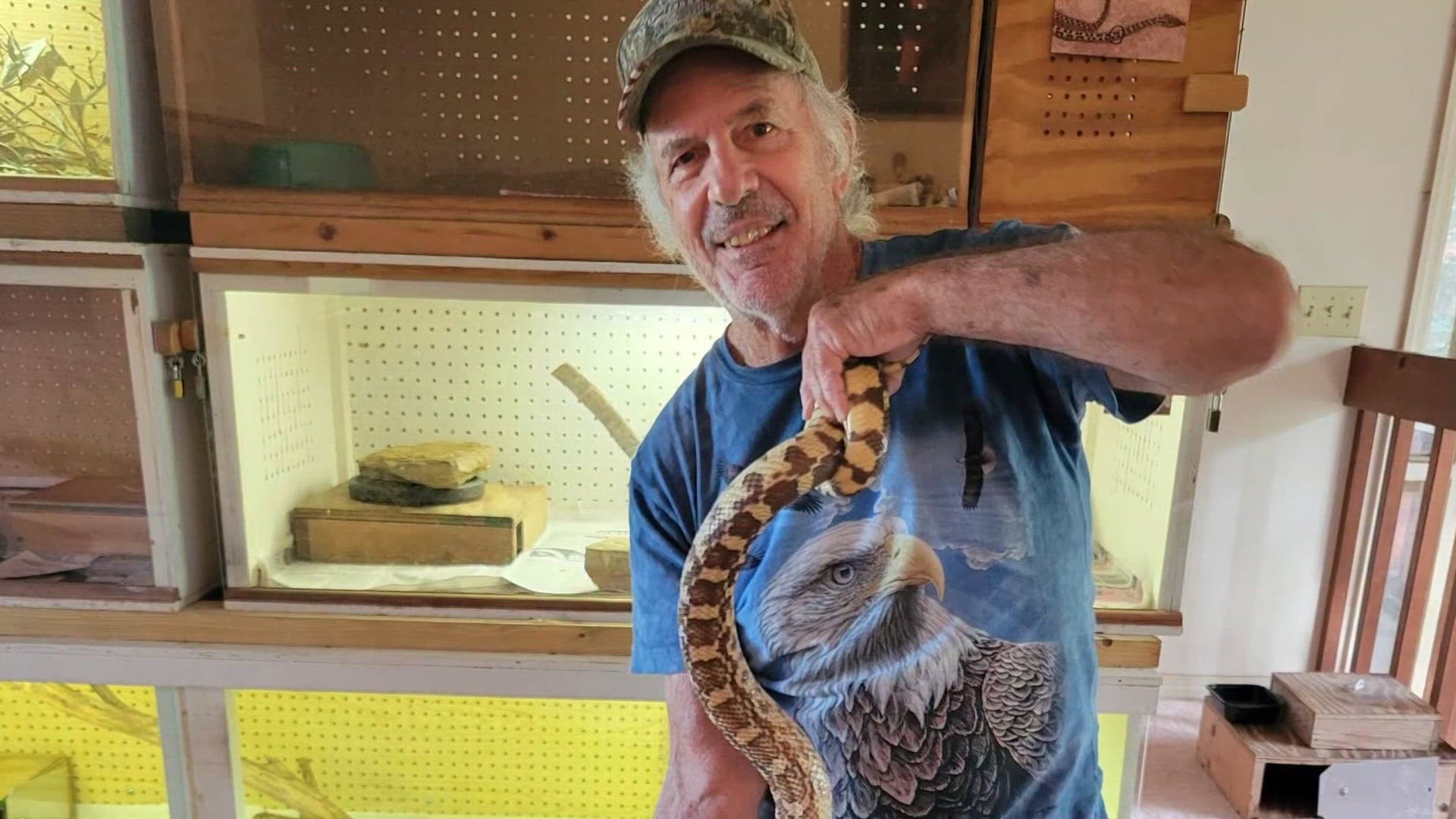 Florida wildlife enthusiast killed along Arizona highway while checking on snake
