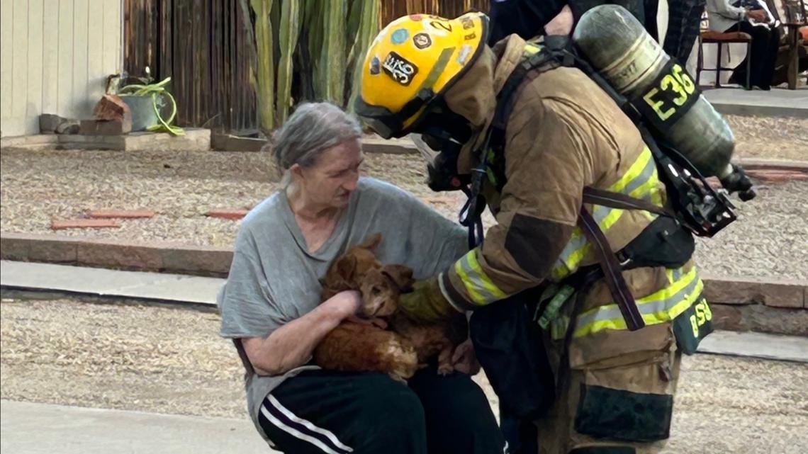 Pets rescued from Phoenix house fire