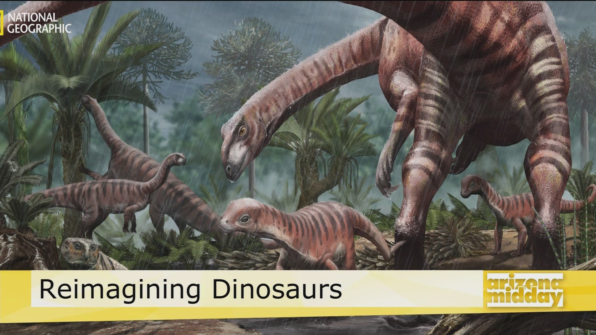 Rachel Buchholz with National Geographic shows us some of the latest dino discoveries and how families can get learning at home with this month's issue!