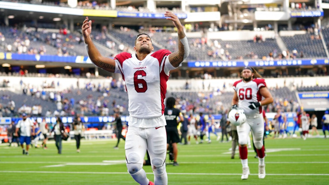 Ranking NFL fans: Arizona Cardinals fans hold steady after 2019 season