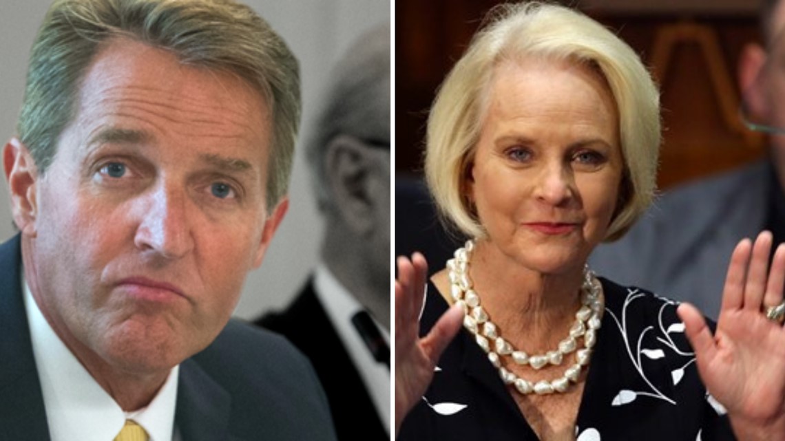 Jeff Flake, Cindy McCain dikonfirmasi menjadi duta besar di bawah Biden