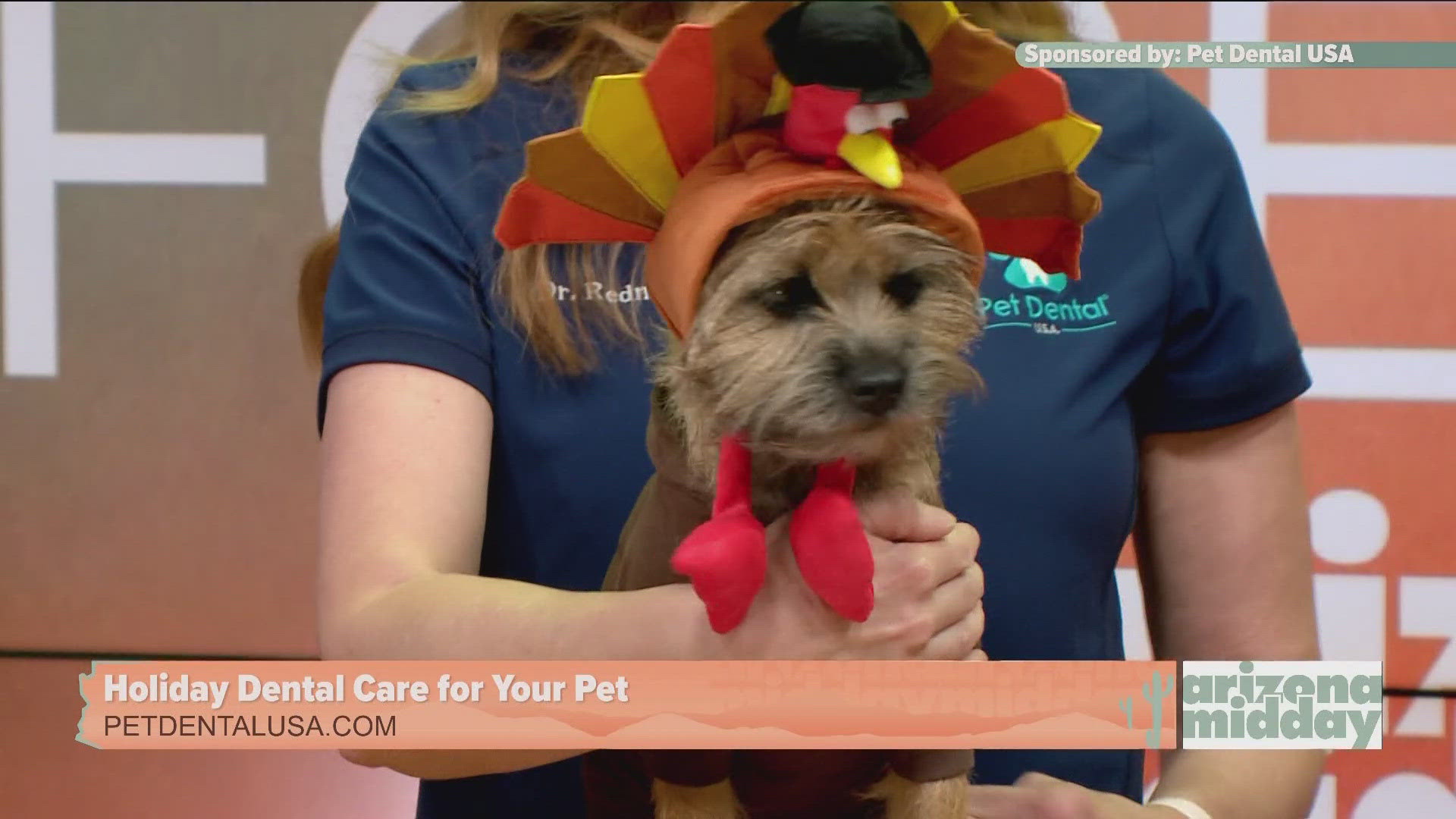 Dr. Jennifer Redmon and Cilantro explain the importance of teeth cleaning and some good dental tips for your pets during the holidays.