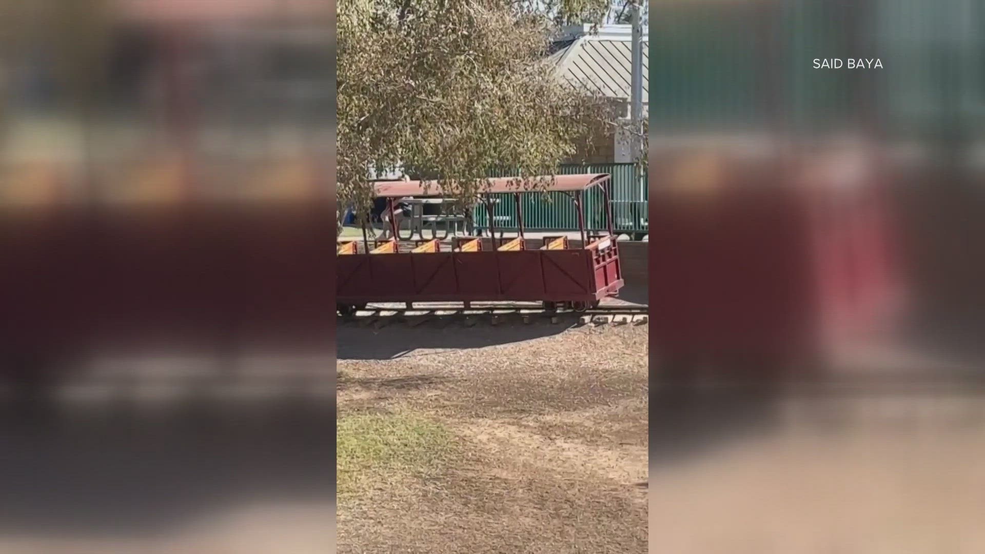 The miniature train is operated by Freestone railroad and fell over just after noon on Friday, police say.