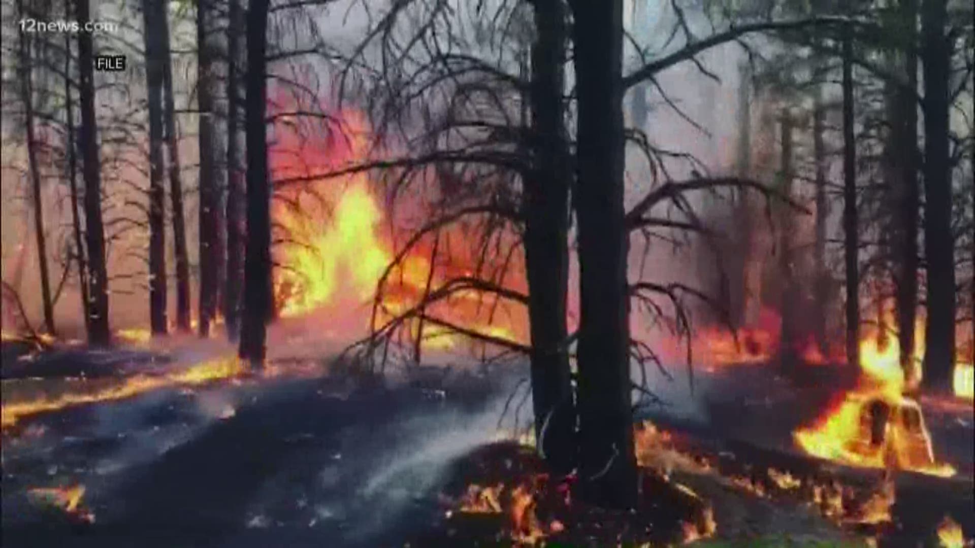 "We will have large fires. Fire is inevitable," BLM spokeswoman Dolores Garcia said.