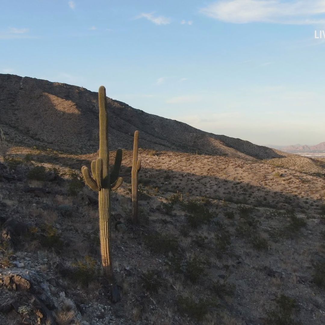 Arizona man sentenced to prison for deadly human smuggling incident ...