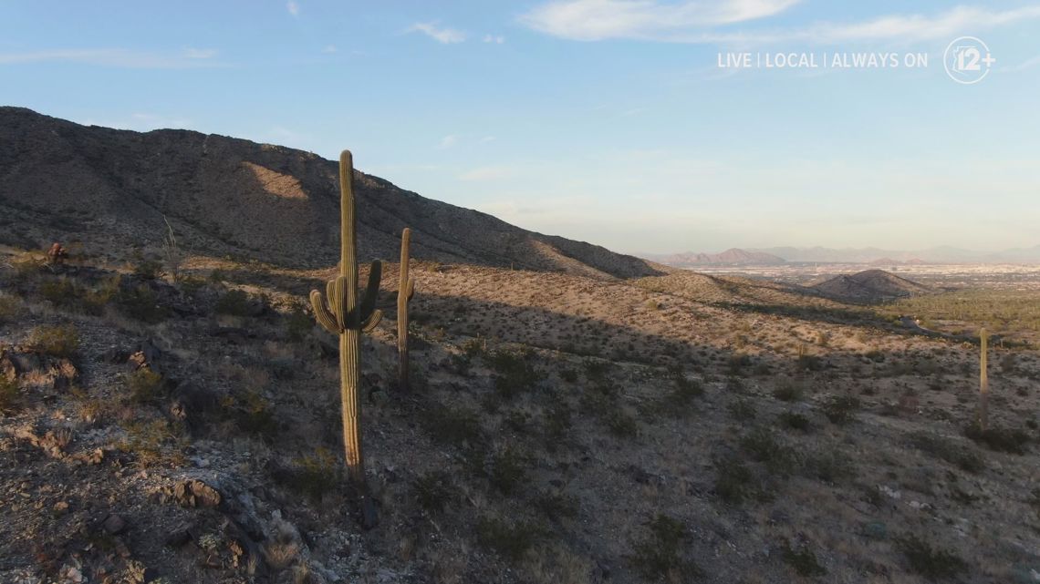 Arizona man sentenced to prison for deadly human smuggling incident