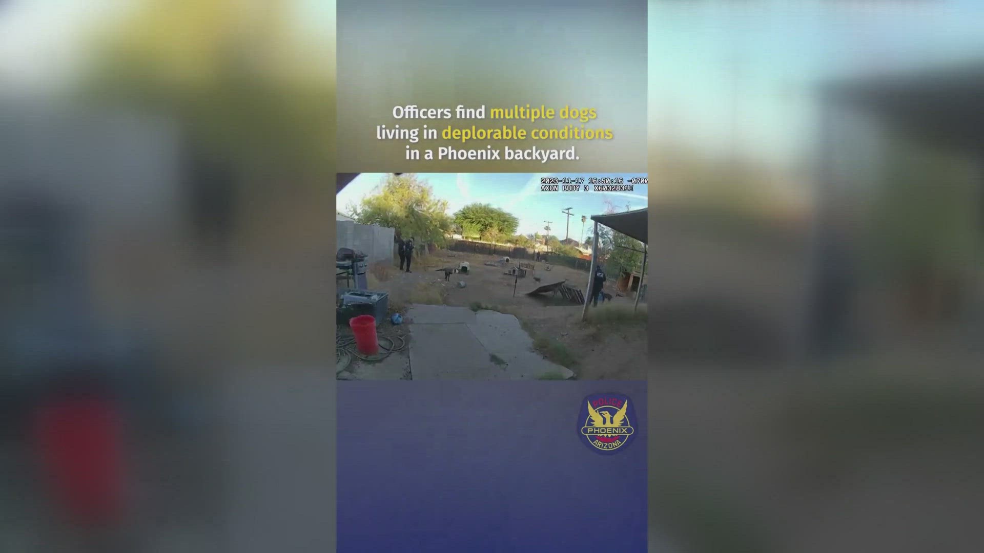 2 people have been charged with 56 counts of animal cruelty after Phoenix Police found nearly 10 dogs in 'deplorable' conditions while investigating another crime