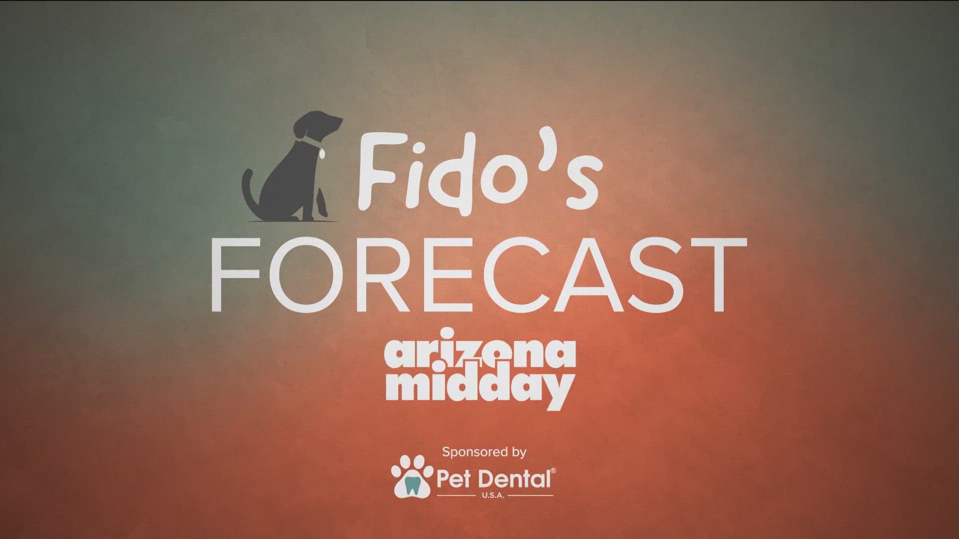 Arizona Midday | March 21, 2025 - C block | 12news.com