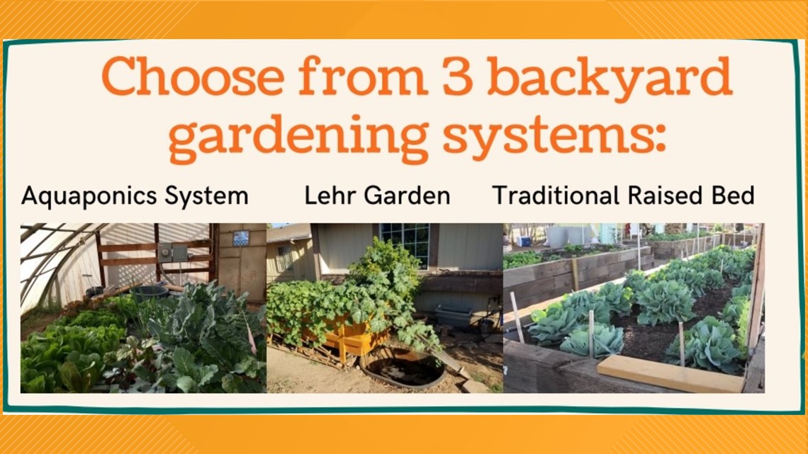 Set up a backyard garden for free through the City of Phoenix!