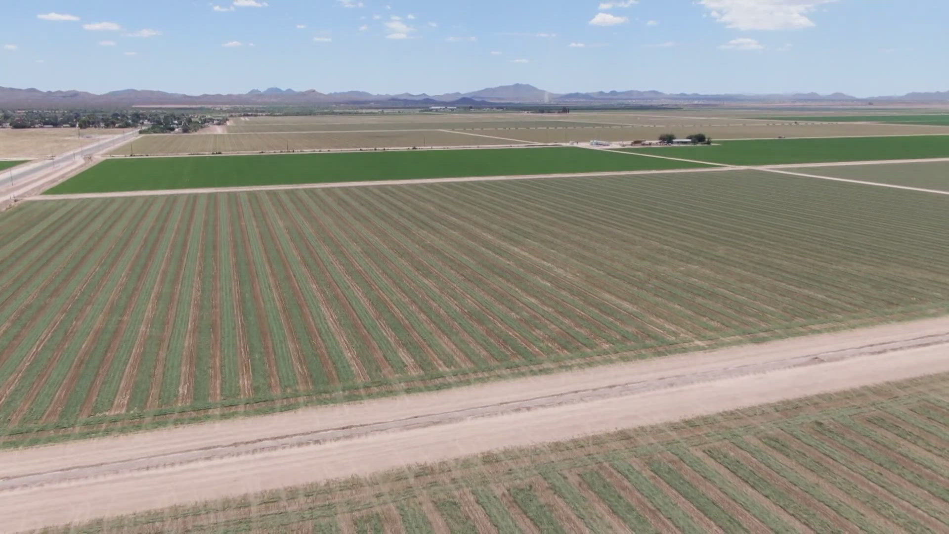 Arizona Attorney General says Saudi farm is depleting the ground water supply.