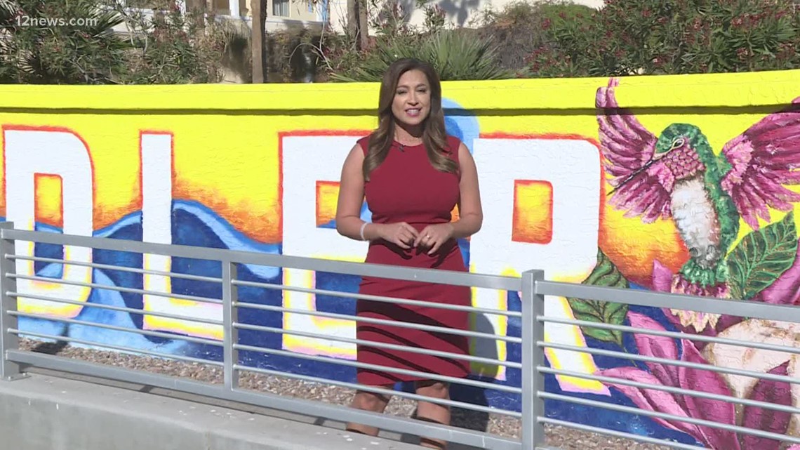 Unity ArtWalk educates Arizonans about diversity in unique way - Vimarsana News