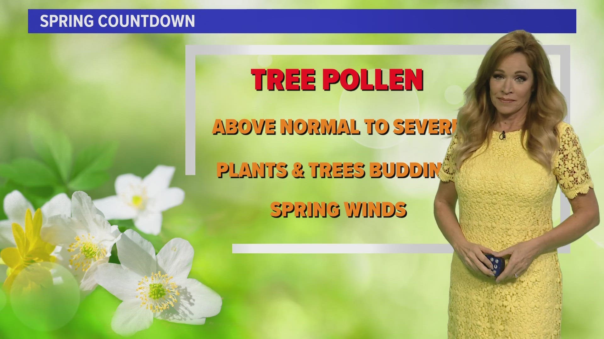 As we look forward to warm days and mild nights, spring is also synonymous with allergies. From New Jersey to Arizona, tree pollen is expected to be intense.