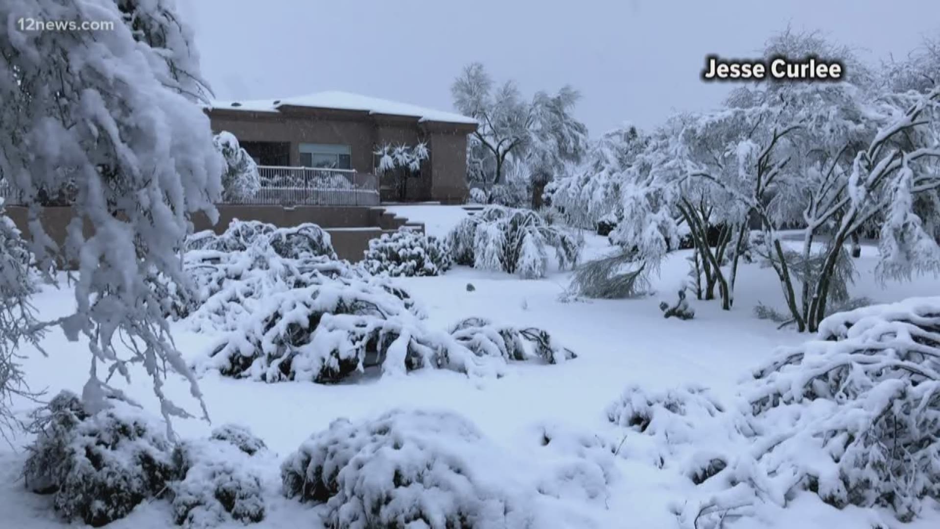 Some residents in North Scottsdale say they woke up to 8" of snow this morning. No one says they were prepared for the wintery weather.