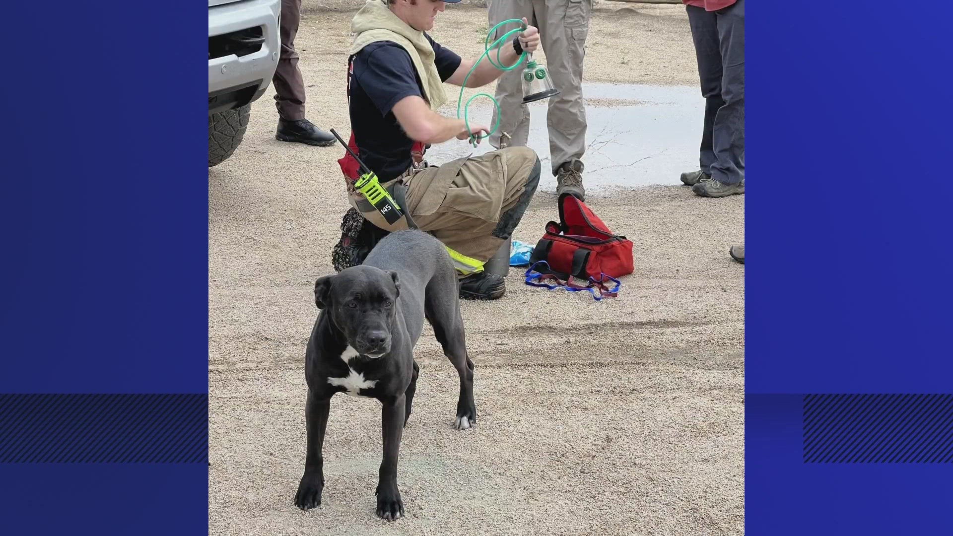 The dog was pulled from the fire unresponsive and not breathing, according to the fire department.