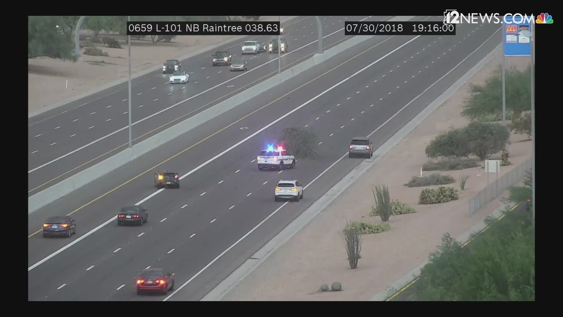 Citizens help an officer move a tree off the L-101 at Raintree.