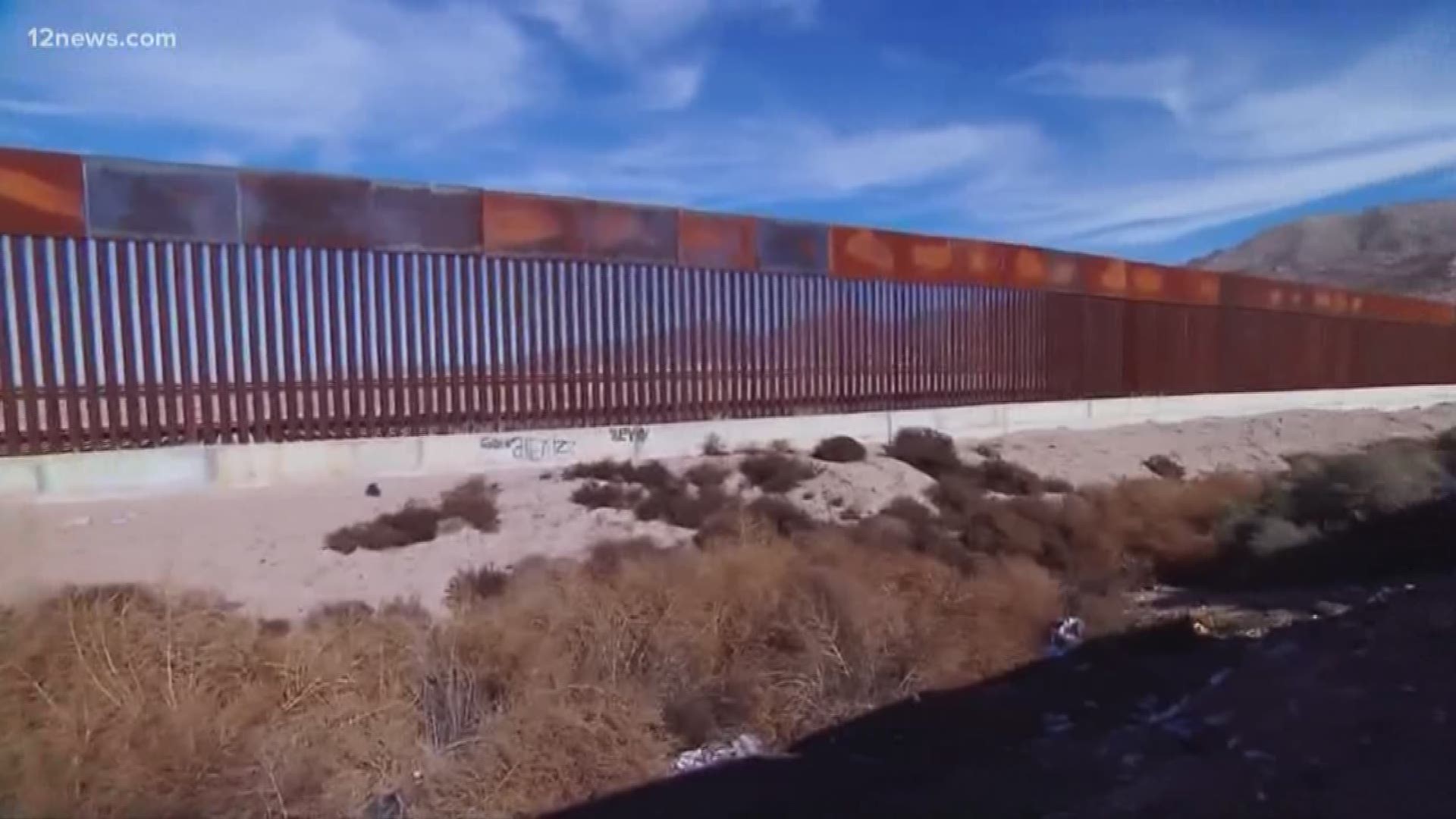 Arizona lawmakers on Capitol Hill split along party lines when it comes to supporting President Trump's emergency declaration to get funding for a border wall.