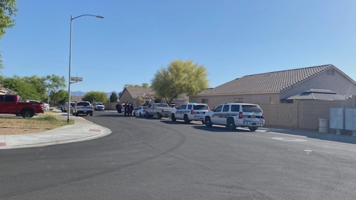 2 toddlers in critical condition after pulled from Phoenix pool - Vimarsana News