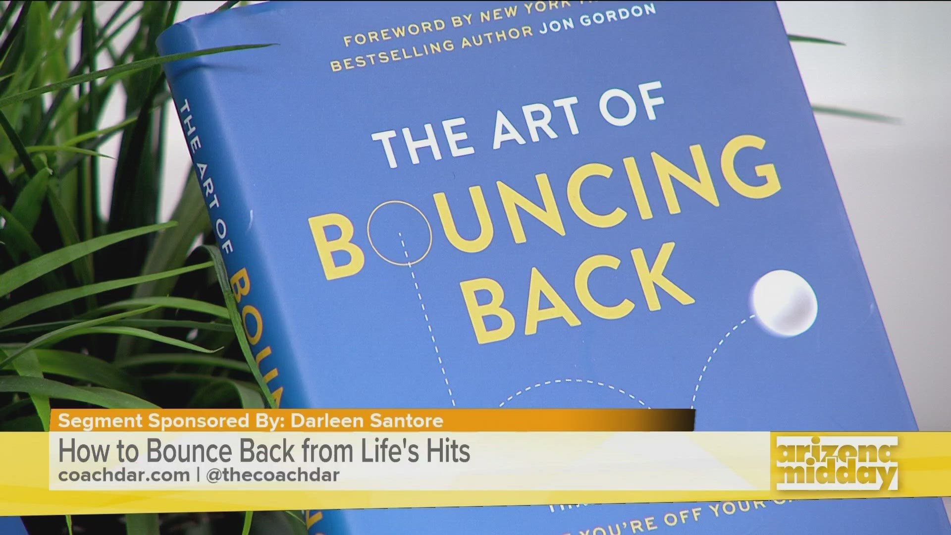 Darleen Santore used her life experiences to write her new book "The Art of Bouncing Back." Her hope is to help others "bounce back" faster from life's adversities.