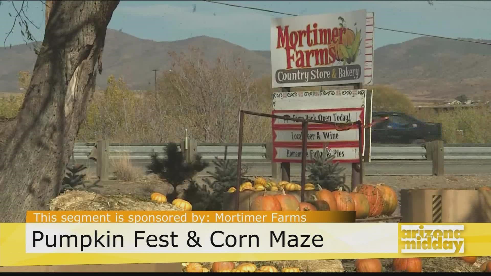 Pick a pumpkin and spend a day of fun at Mortimer Farms. Ashlee Mortimer has a look at what you can expect this year.