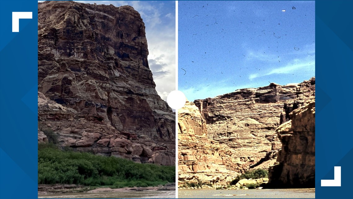 Foto: Ekosistem Glen Canyon kembali saat Danau Powell mengering