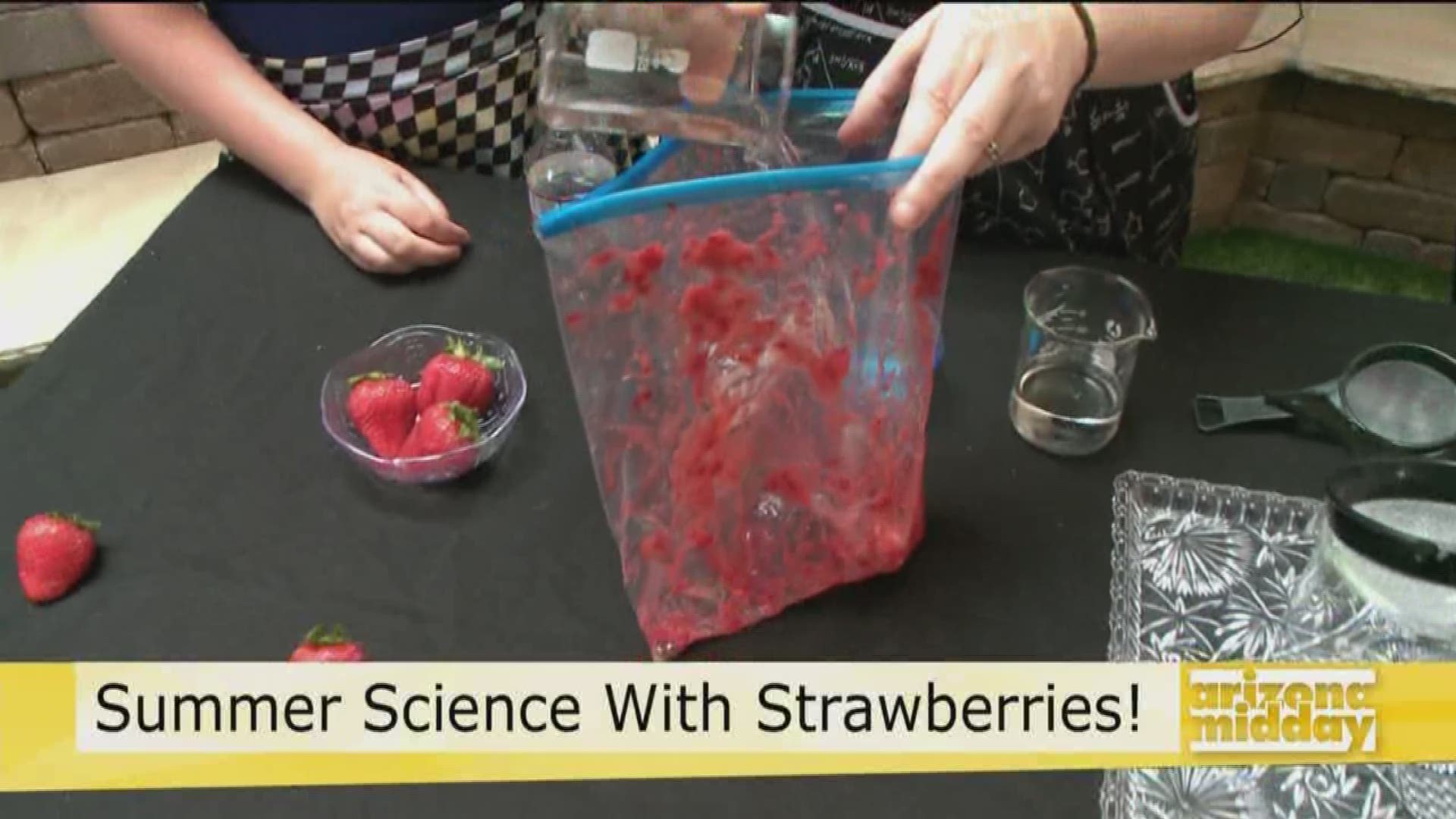 The Scientific Mom Amy Oyler and her daughter Katie are back to show us how to extract actual DNA from strawberries!