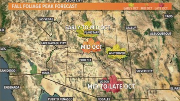 When is the best time to see the leaves change in Arizona?