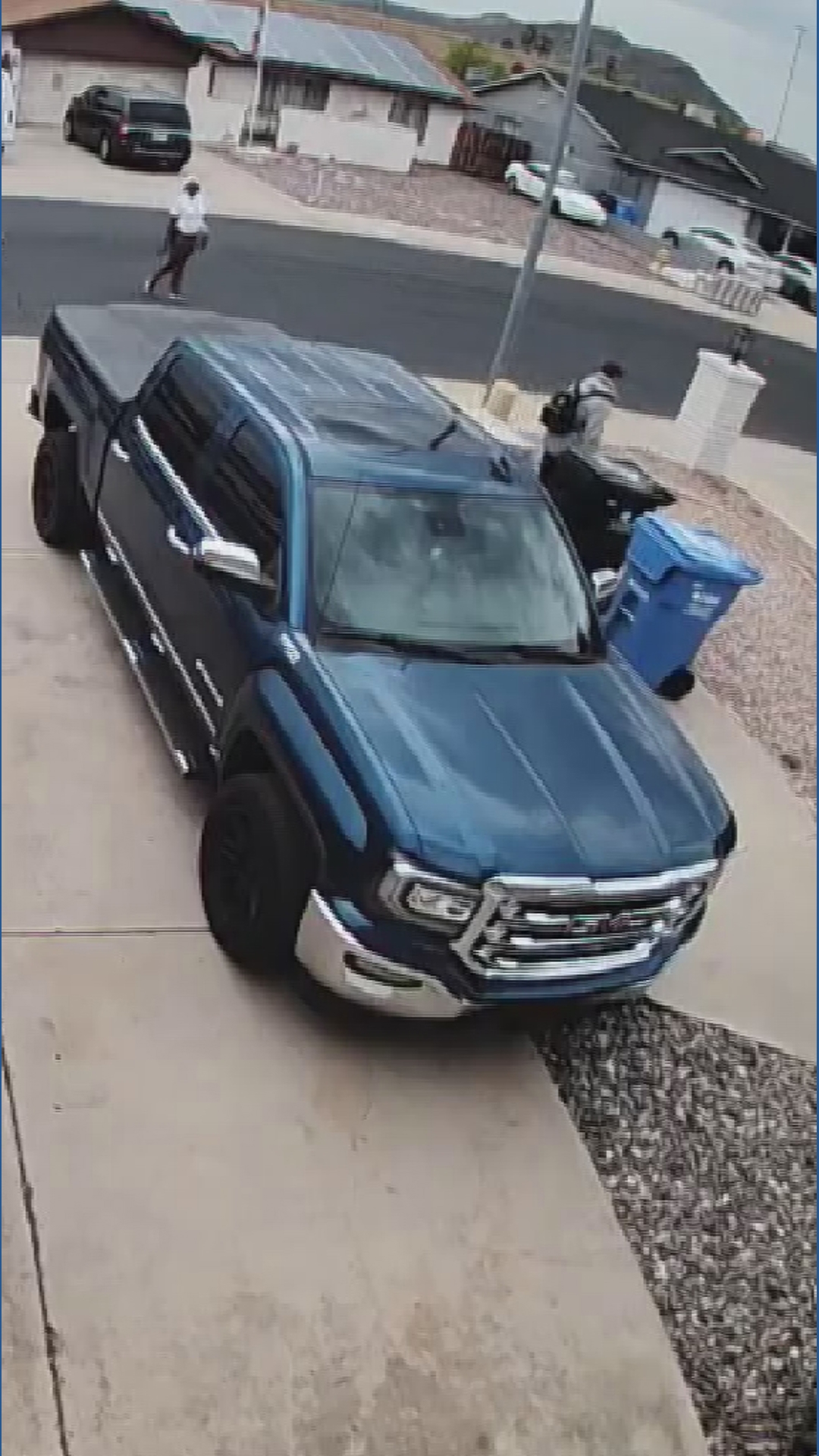 Video footage shows dog being dragged from Phoenix backyard | 12news.com