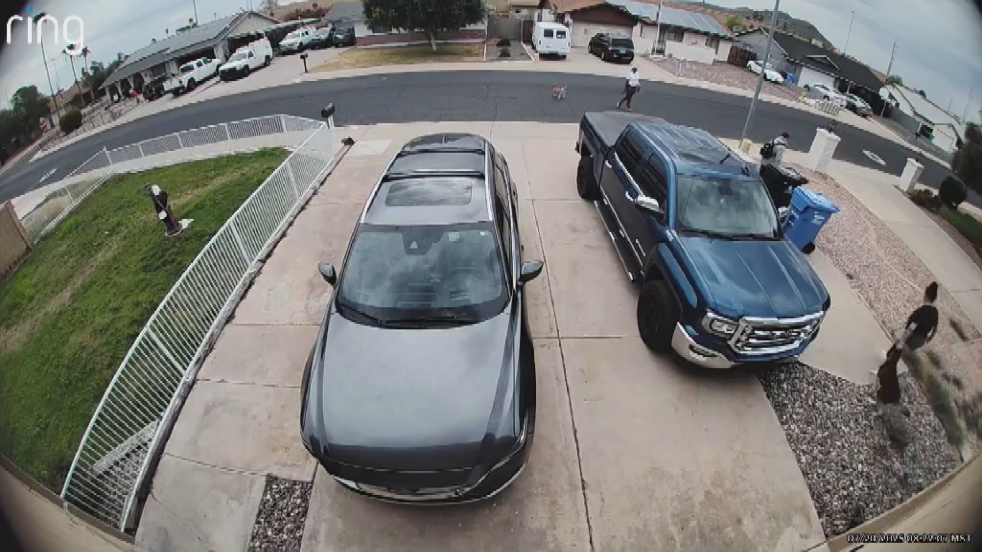 Video footage shows dog being dragged from Phoenix backyard | 12news.com