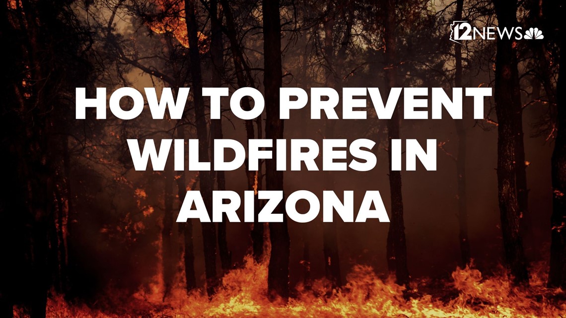 How to prevent wildfires in Arizona