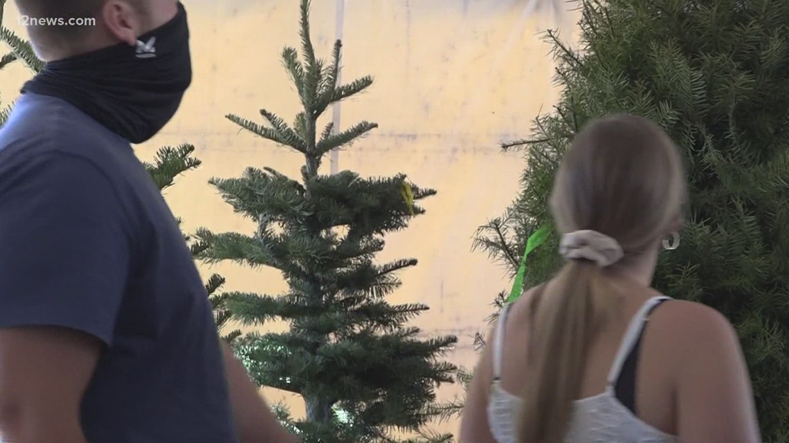 Real Christmas tree sales up in Valley tree lots | 12news.com