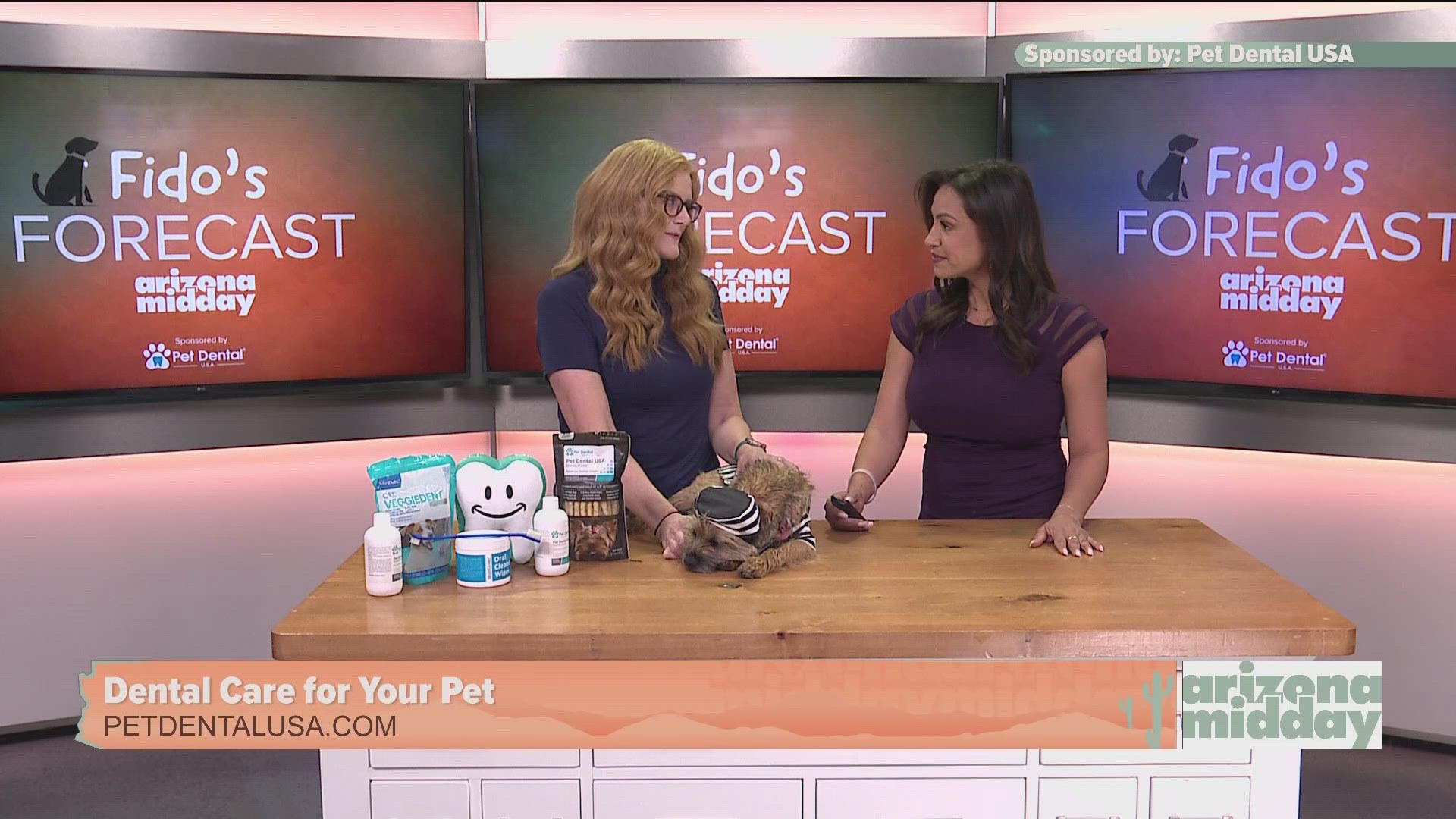 Dr. Jennifer Redmon and Cilantro stop by to share why it's important to keep your pet's mouth healthy and how often they should come in for an exam