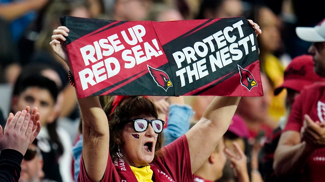 Cardinals Unveil 'Protect The Nest' Ticket Plans