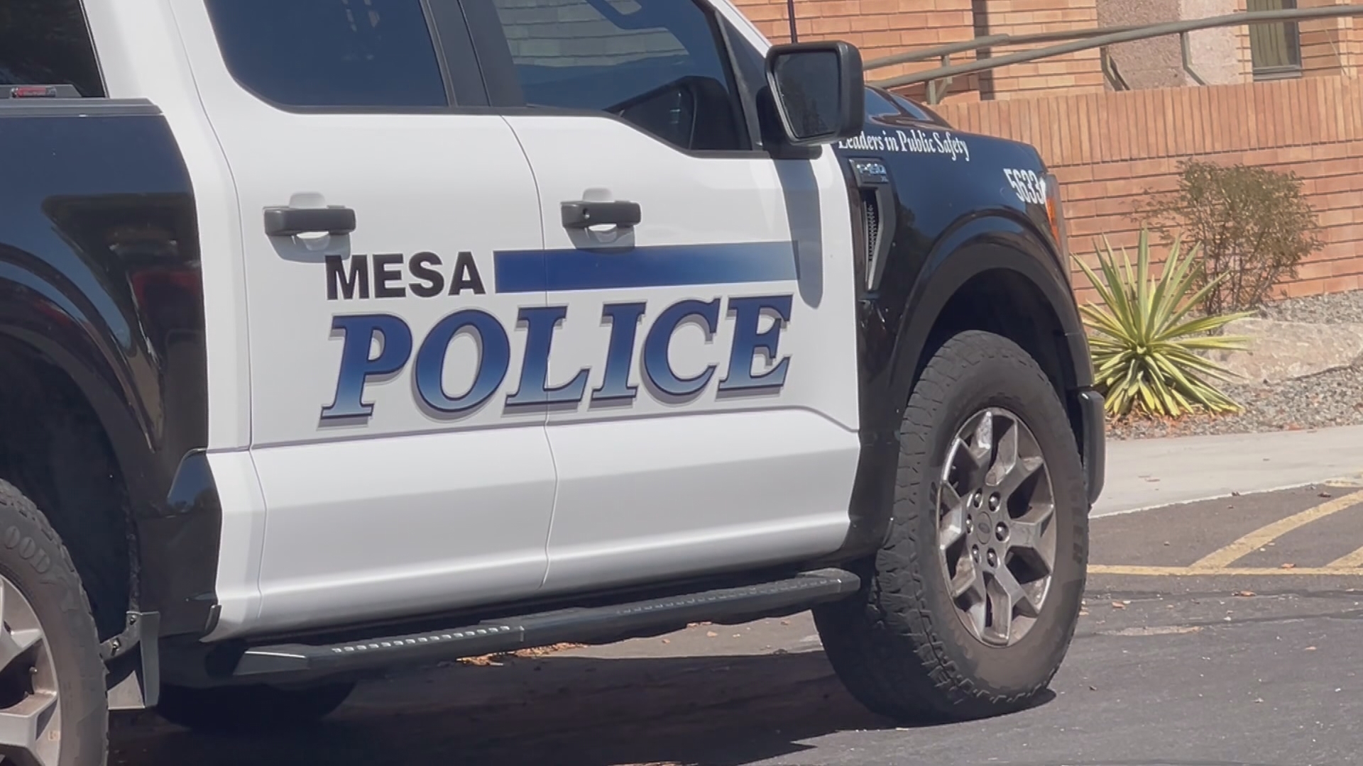 Suspect arrested after man is shot to death in Mesa | 12news.com