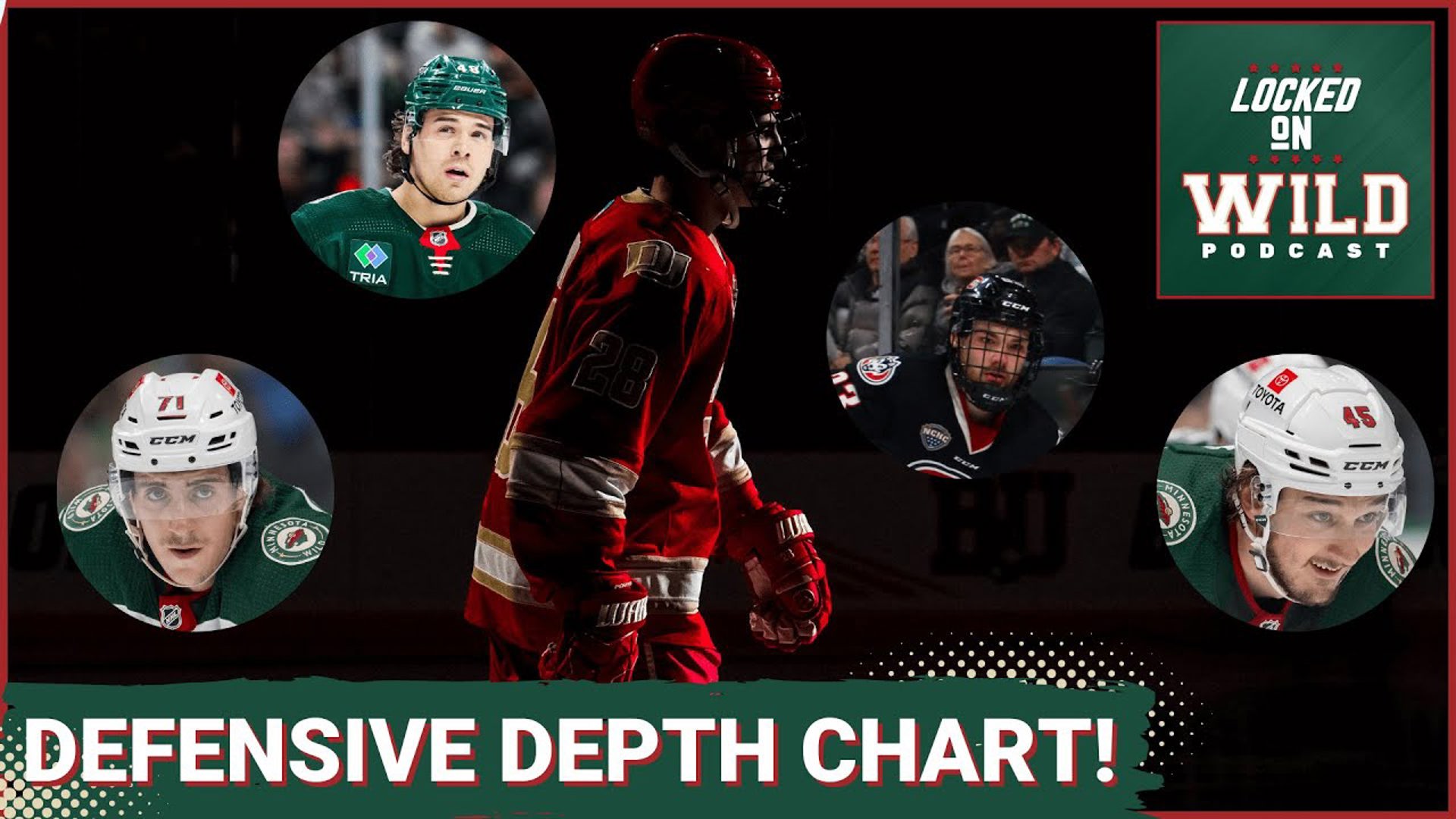 The Minnesota Wild Organizational Defensive Depth Chart!