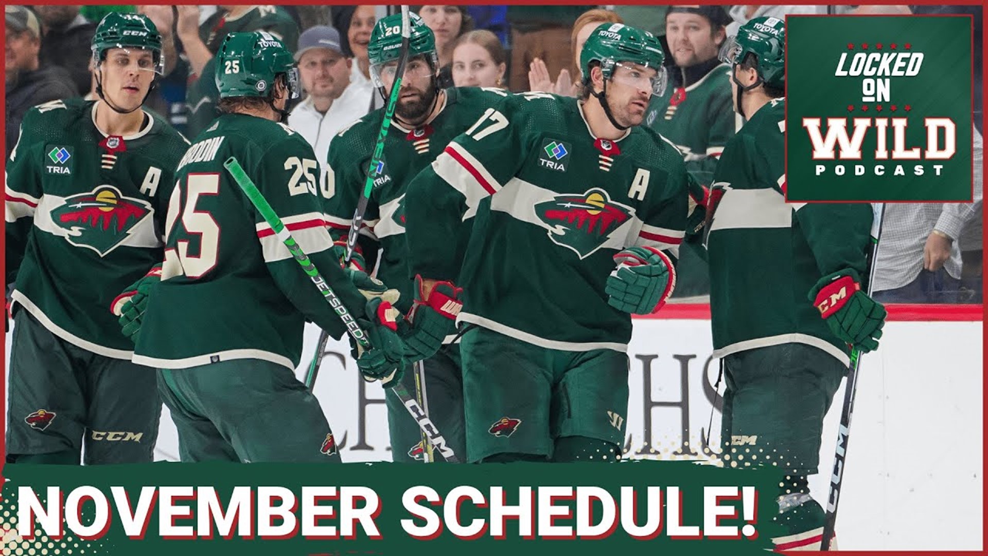 Breaking Down the November Schedule for the Minnesota Wild! #minnesotawild #mnwild #nhl