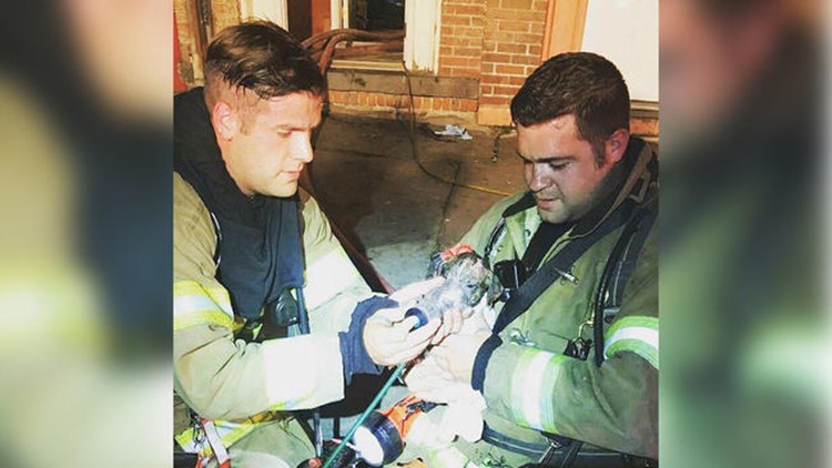 Firefighters adopt puppy they rescued from burning apartment