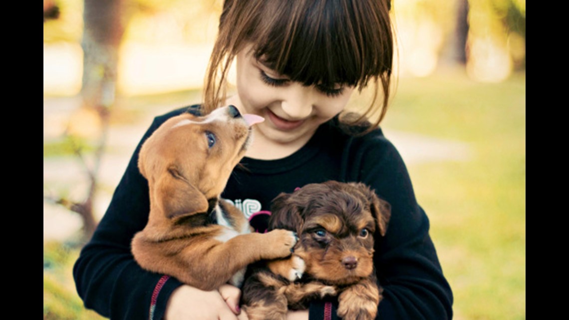 Should pets be allowed in dorm rooms? These colleges say yes.