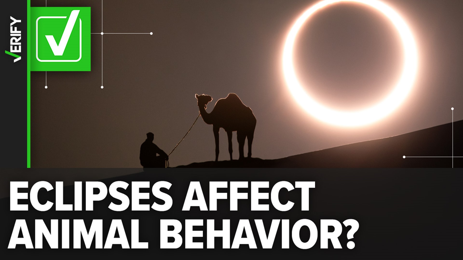 Reports of unusual animal behaviors during a total solar eclipse date back centuries, according to NASA, but the agency says the effects are not fully understood.
