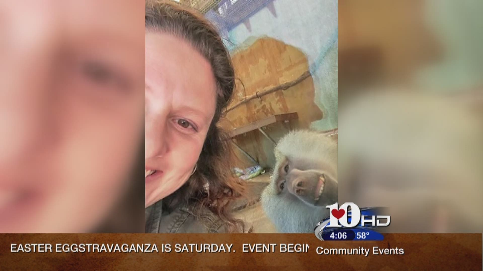 When Julie Harrison visited the Knoxville Zoo this week on Spring Break, she got a surprise when she snapped a selfie in front of the baboon exhibit.