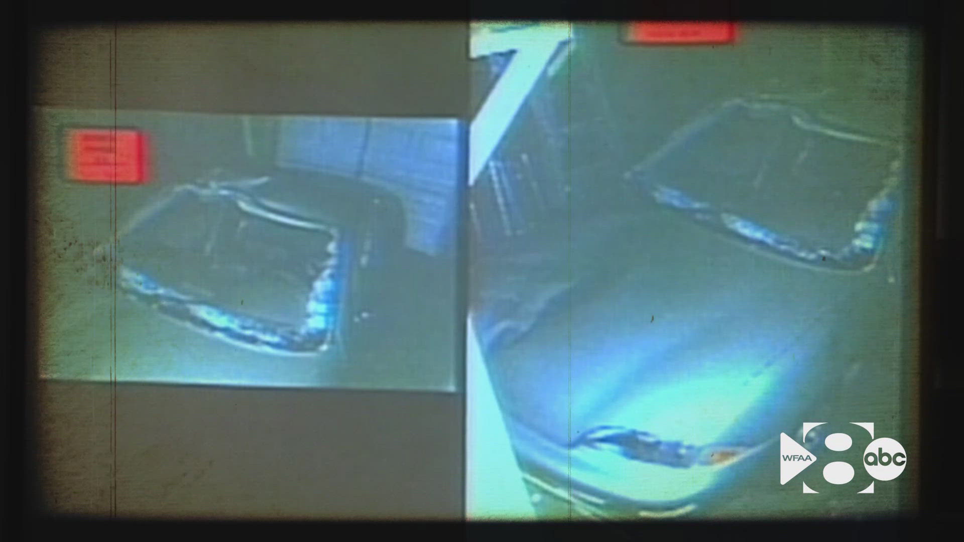 In Oct. 2001, Chante Mallard hit Gregory Biggs, drove home with him lodged in her car, and never called 911—choices that cost him his life.