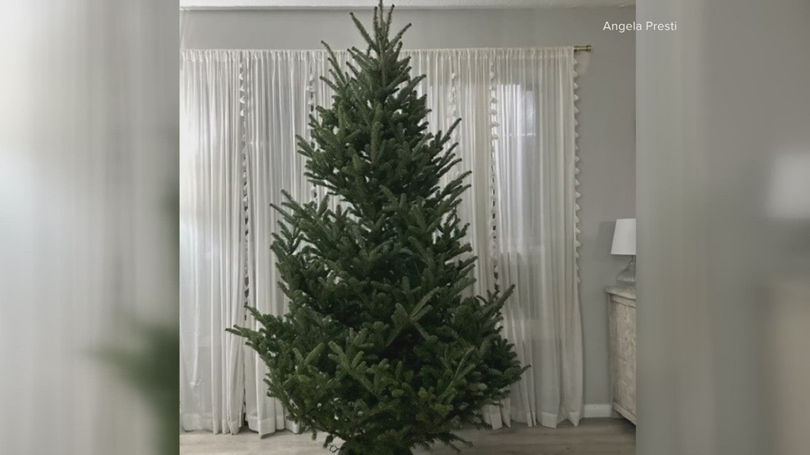 Woman hospitalized after exposure to live Christmas tree - Vimarsana News