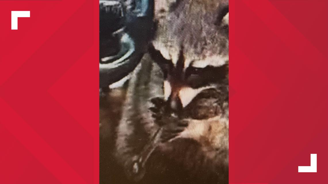 Arrest News Image