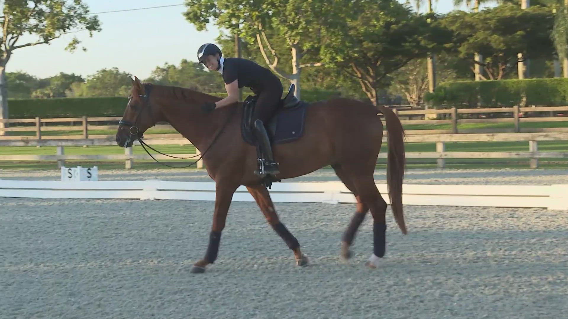 13News anchor Anne Marie Tiernon explains how horses are transported overseas for the Olympic Games.