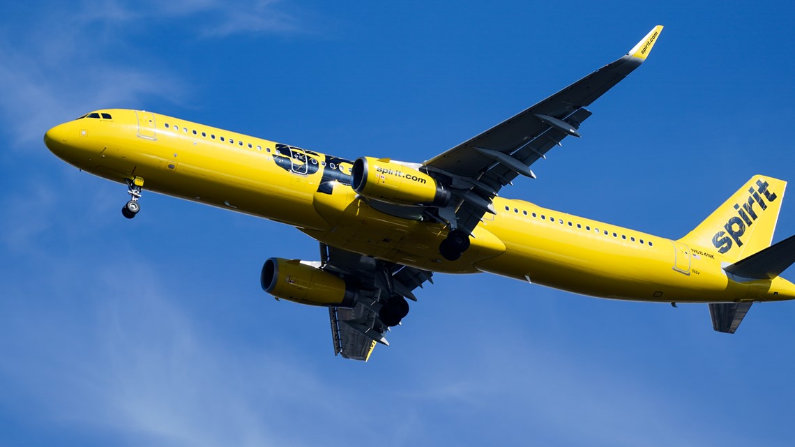 Wanita menyerang awak pesawat Spirit Airlines, diikat ritsleting: laporan