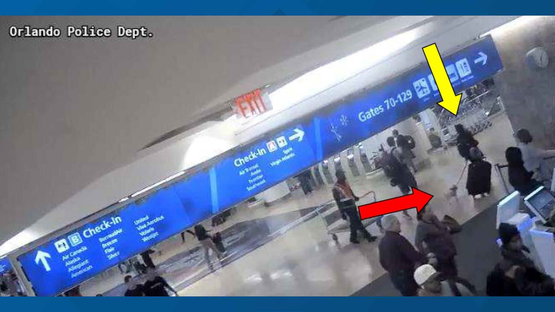 Florida woman drowned dog in airport bathroom after denied boarding ...