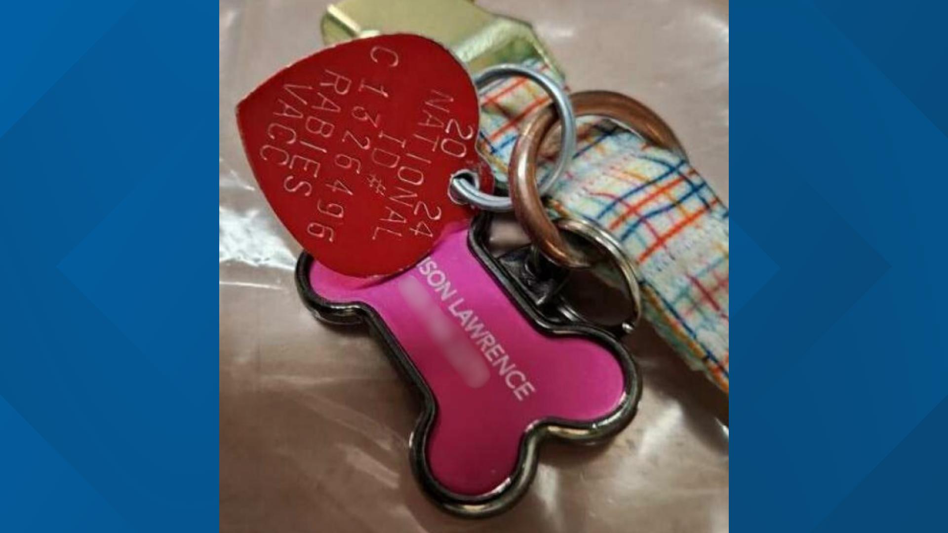 Florida woman drowned dog in airport bathroom after denied boarding ...