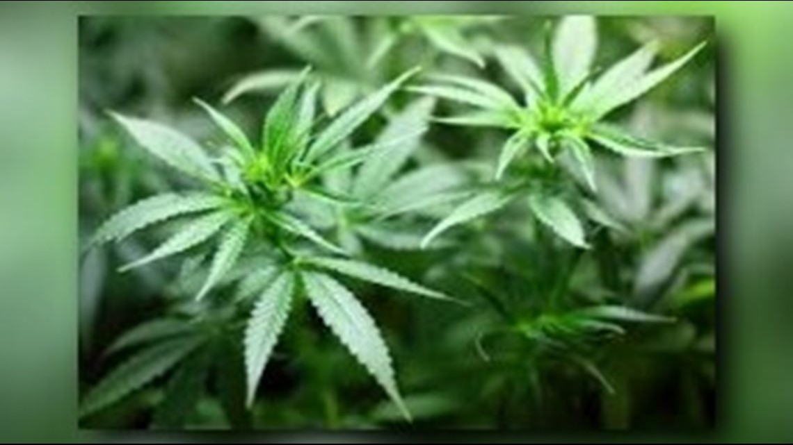 Medical Marijuana Has Passed In Florida | 12news.com