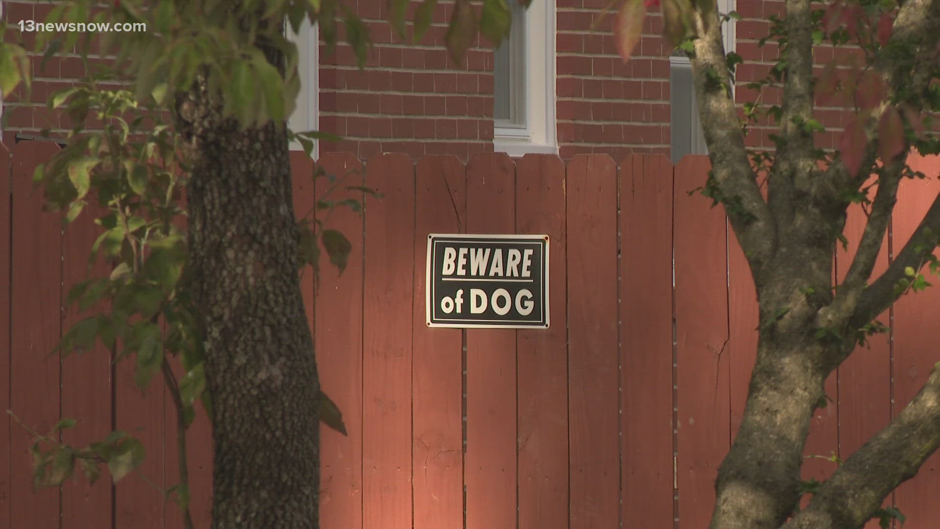 Dog attack in Newport News injures 4, residents in shock | 12news.com