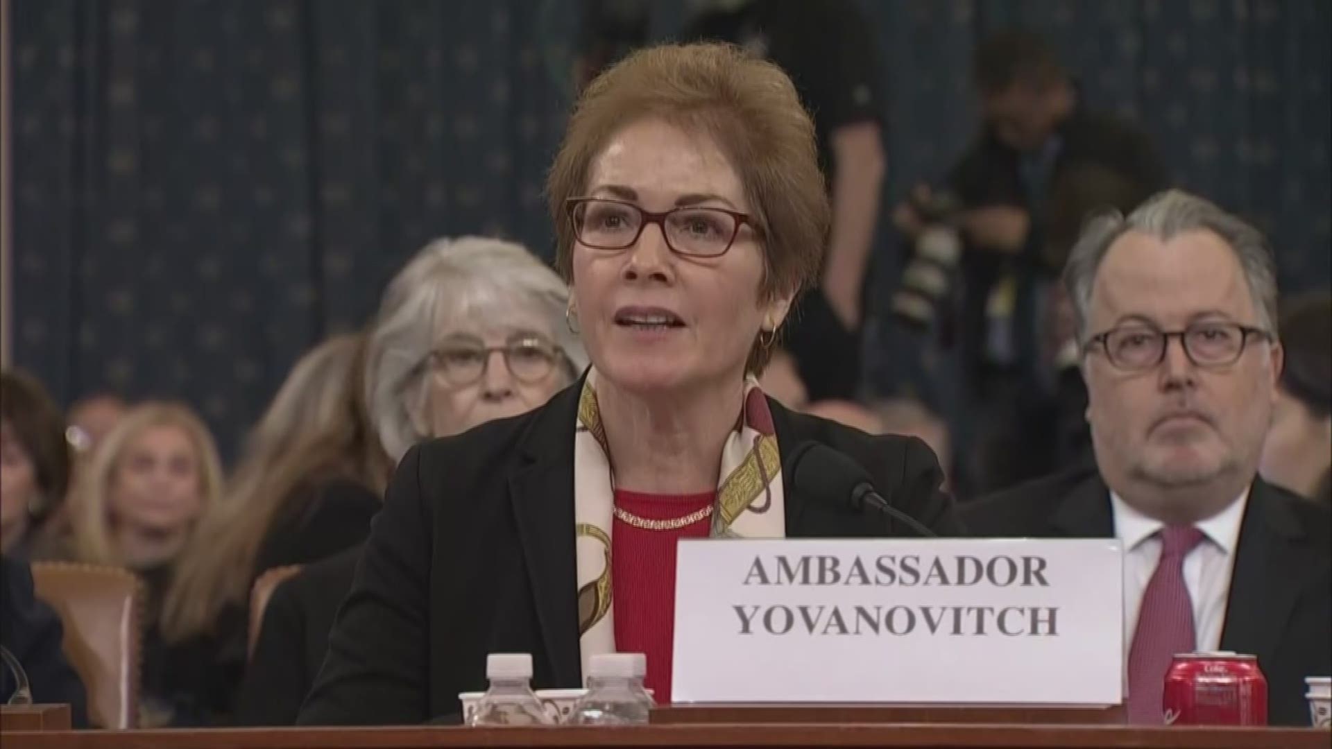 Marie Yovanovich has told Congress that attacks from corrupt interests have created a crisis at the State department.